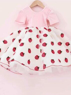 NWT Girls Pleiades Strawberry Shortcake Tulle Poofy Party Dress Pink Velour sz 6